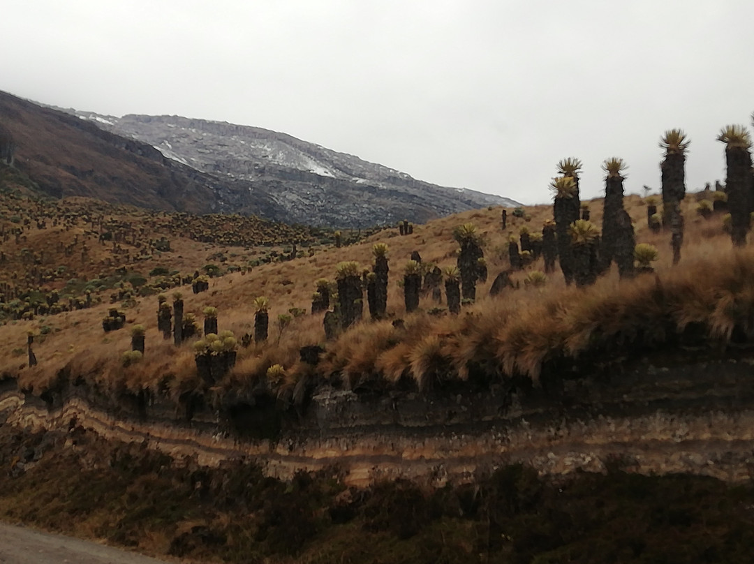 Nevado Del Ruiz景点图片