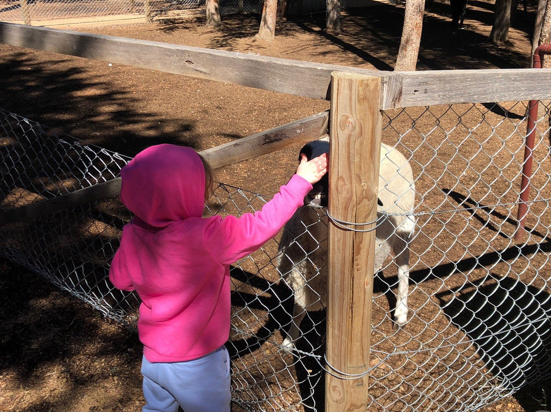 Yarralumla Play Station-堪培拉必去景点