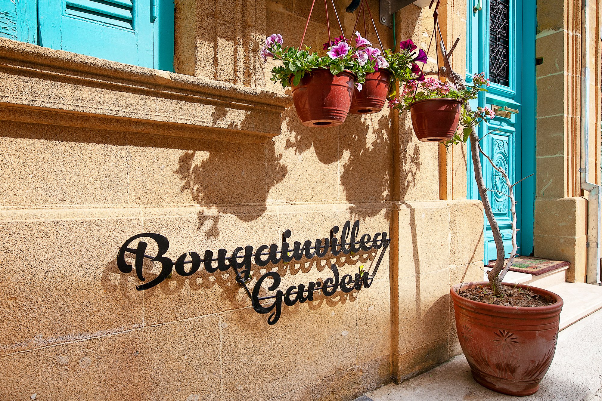 Bougainvillea Garden-官方