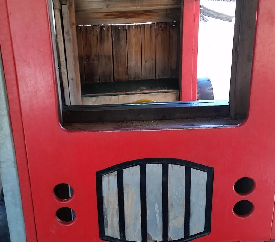 All Abilities Playground-谢珀顿必去景点