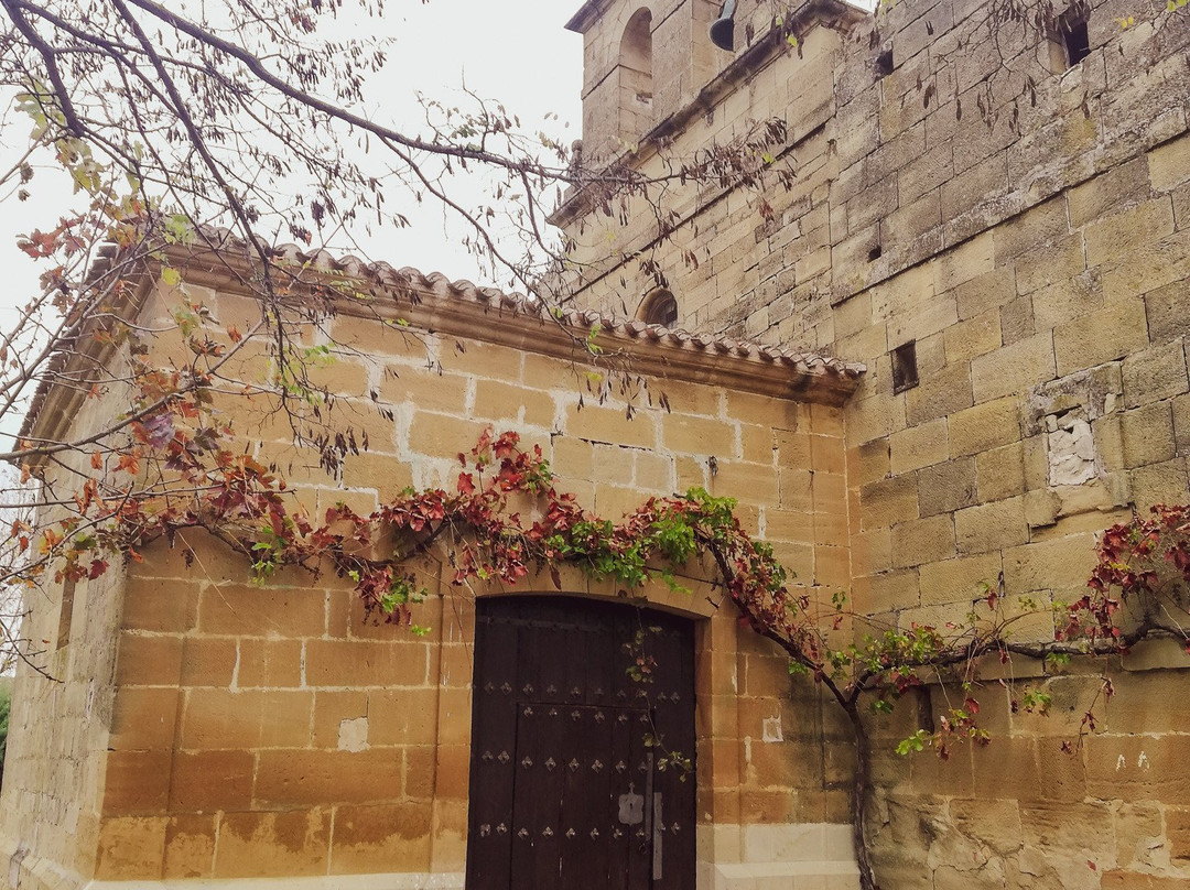 Centro del Romanico "Rioja Romanica"景点图片