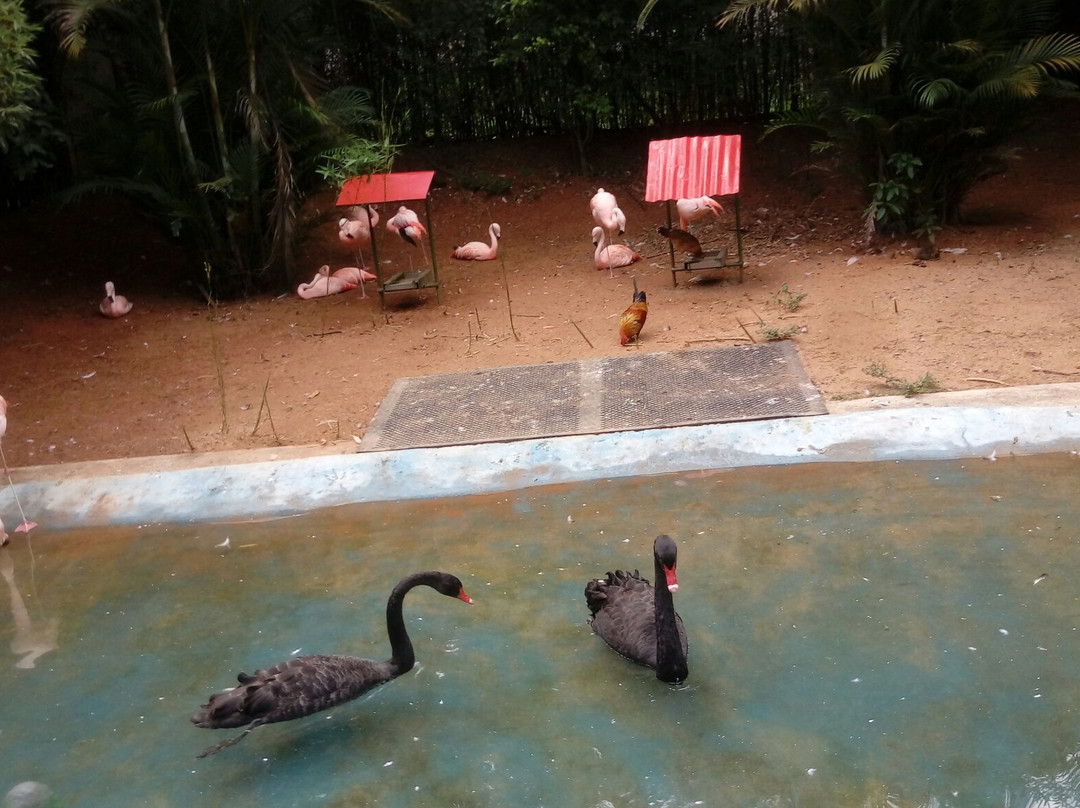 Zoo Park da Montanha景点图片