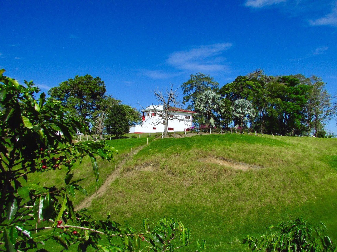Colombian Coffee Adventures-亚美尼亚必去景点