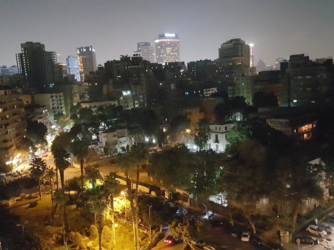 开罗萨佛酒店主图