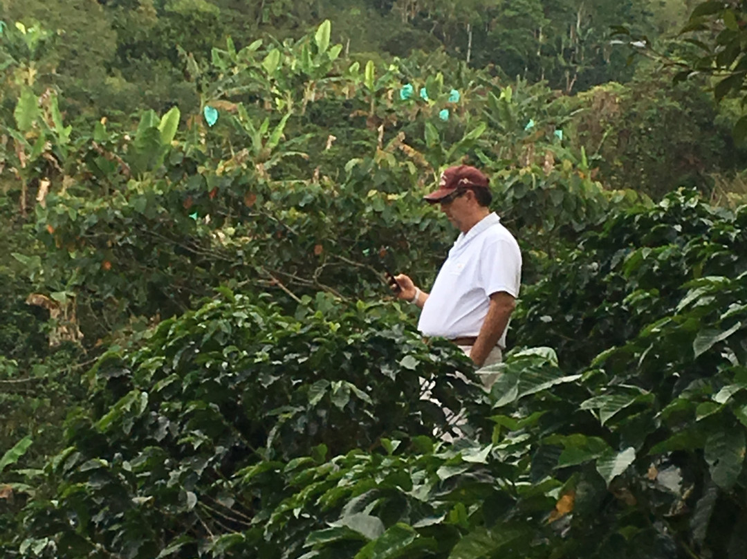 Cafe Hacienda Horizontes-Marsella必去景点