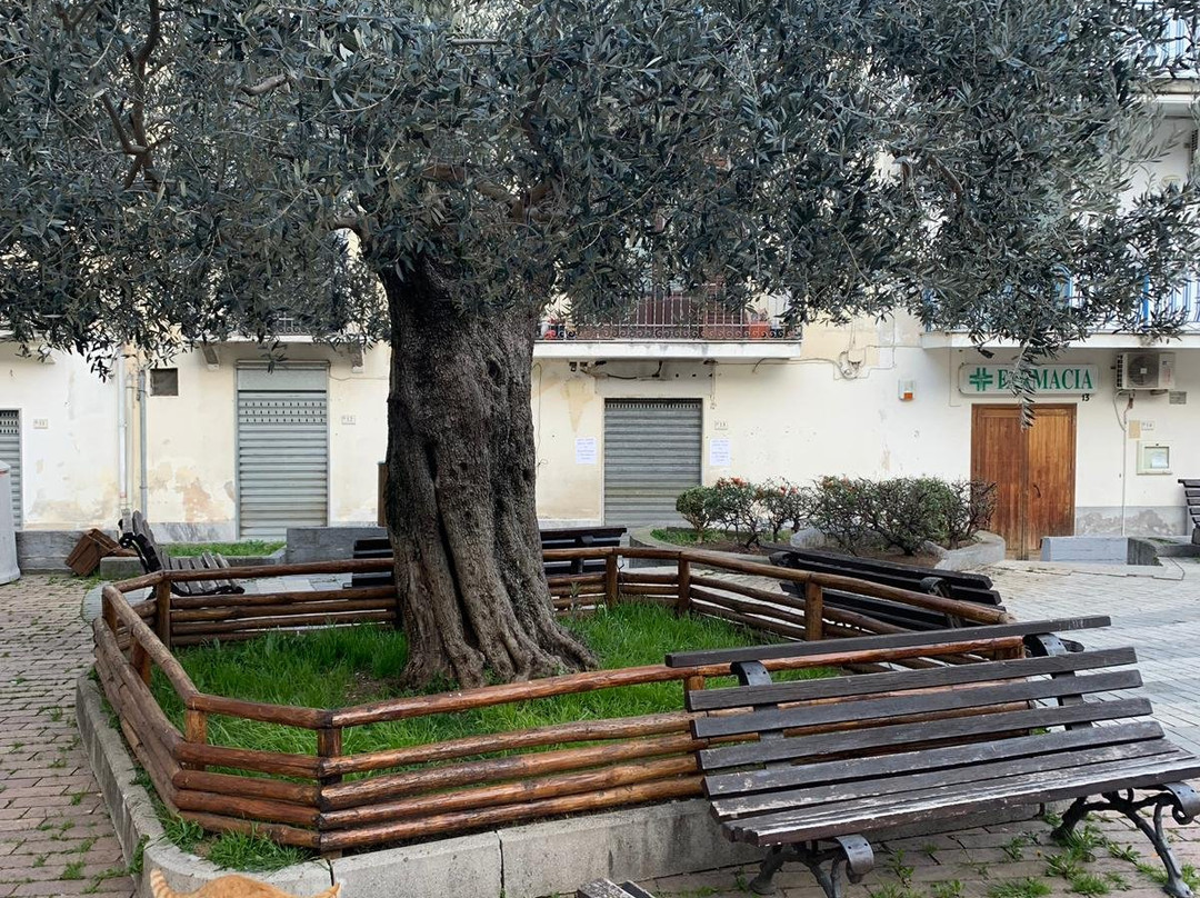 B&B Il Vicoletto主图