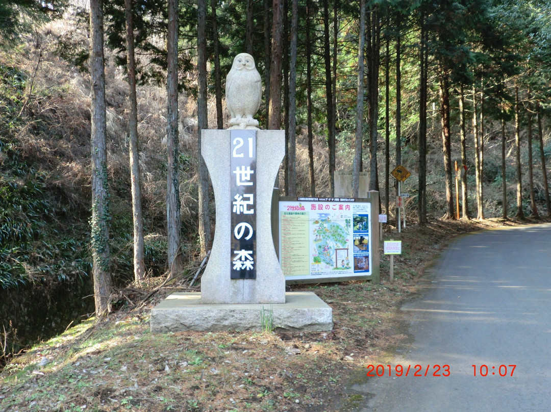 Kanagawa Prefecture 21st Century Forest-南足柄市必去景点