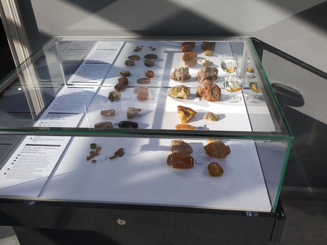 Amber Museum-海参崴必去景点