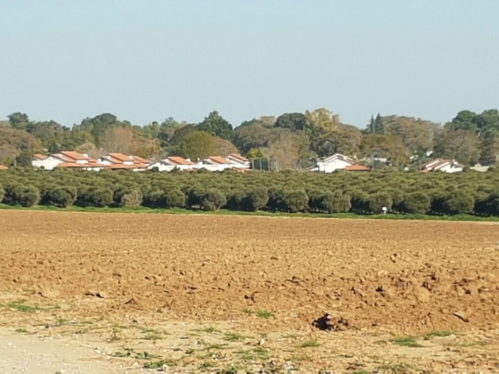 Beeri Forest-Sderot必去景点