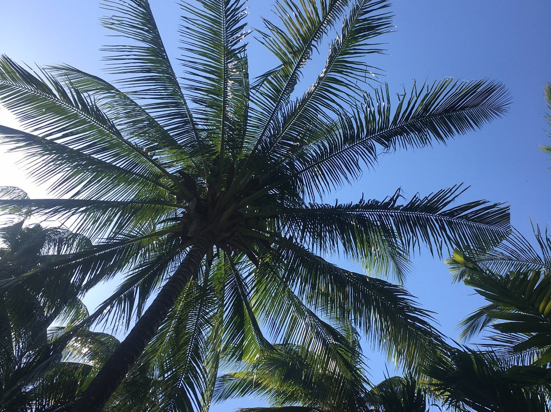 班迈别墅酒店主图