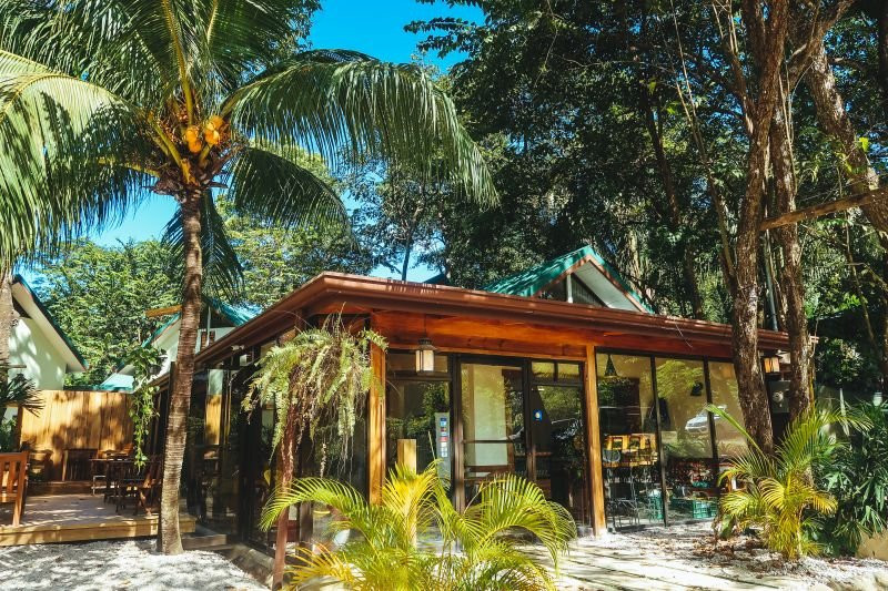 Zopilote Surfcamp