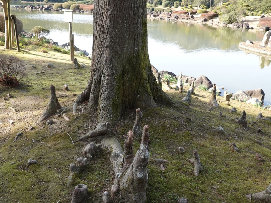 Japanese Garden Nanrakuen景点图片