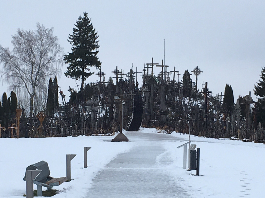 Hill of Crosses Guided Tour景点图片