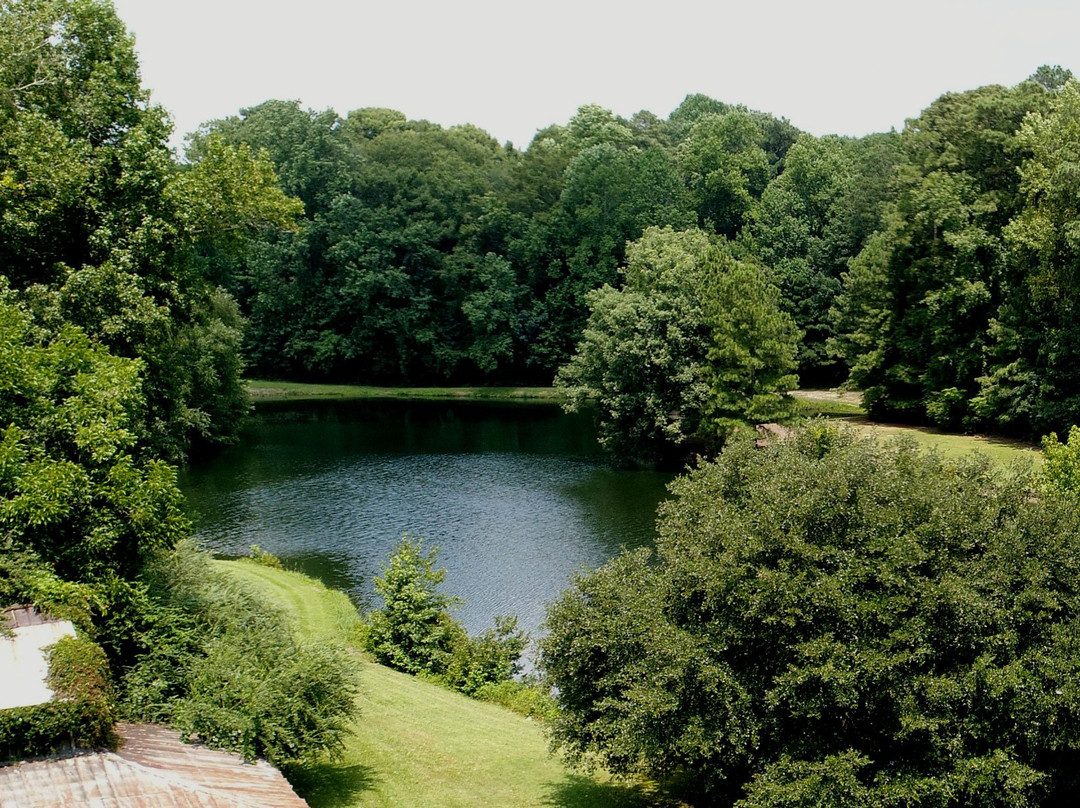 Big Mill Bed and Breakfast主图