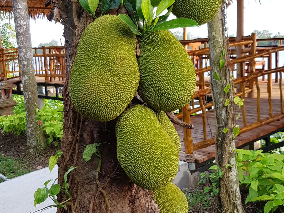 湄公河园渡假酒店主图