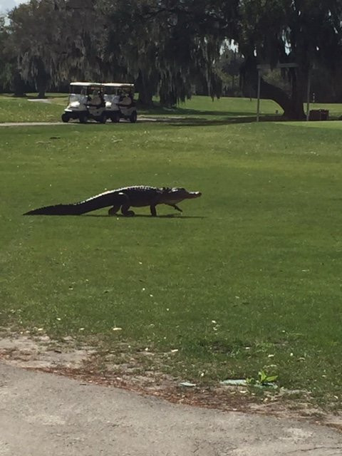 Willowbrook Golf Course-温特黑文必去景点
