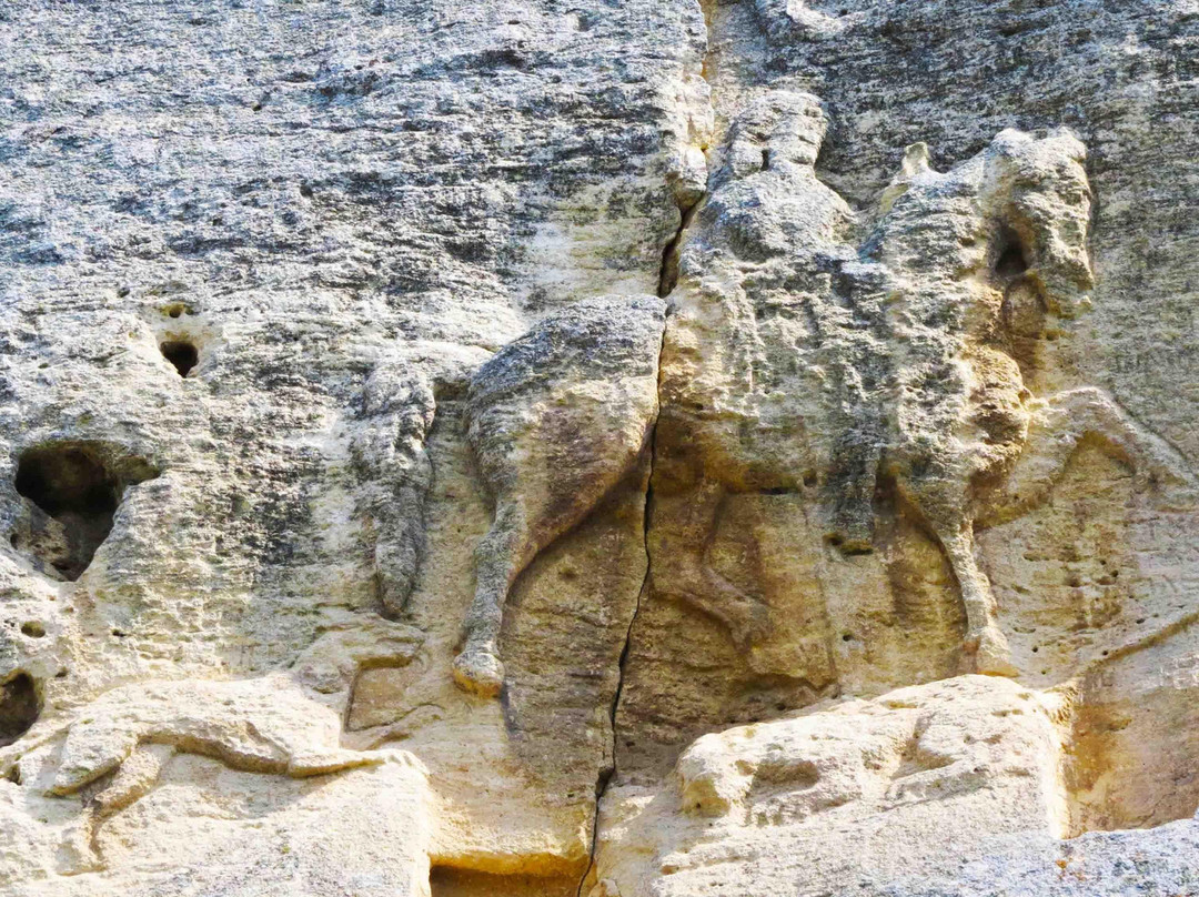 Rozigal Tours景点图片