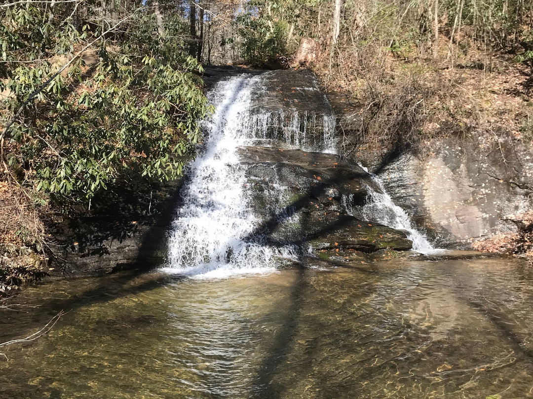 Wildcat Wayside Mountain Bridge Wilderness Area景点图片