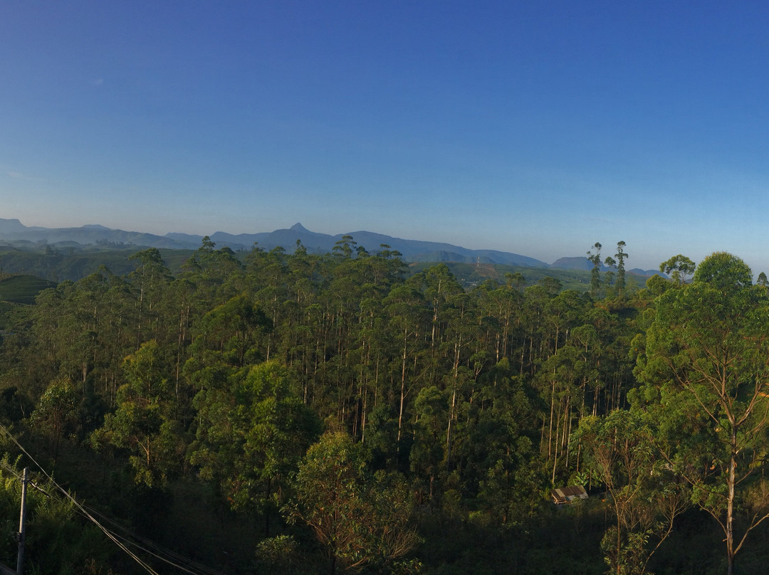 Daynish Rock Bungalow主图