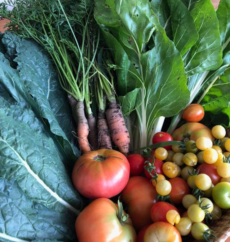 Rio Ancho Gourmet Lodge主图