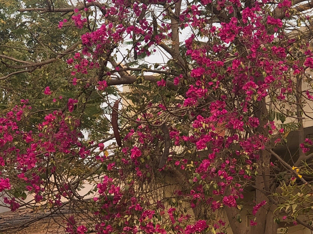 Devpur Homestay Kutch主图