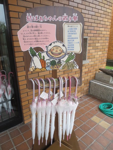 Ono History Museum-大野市必去景点