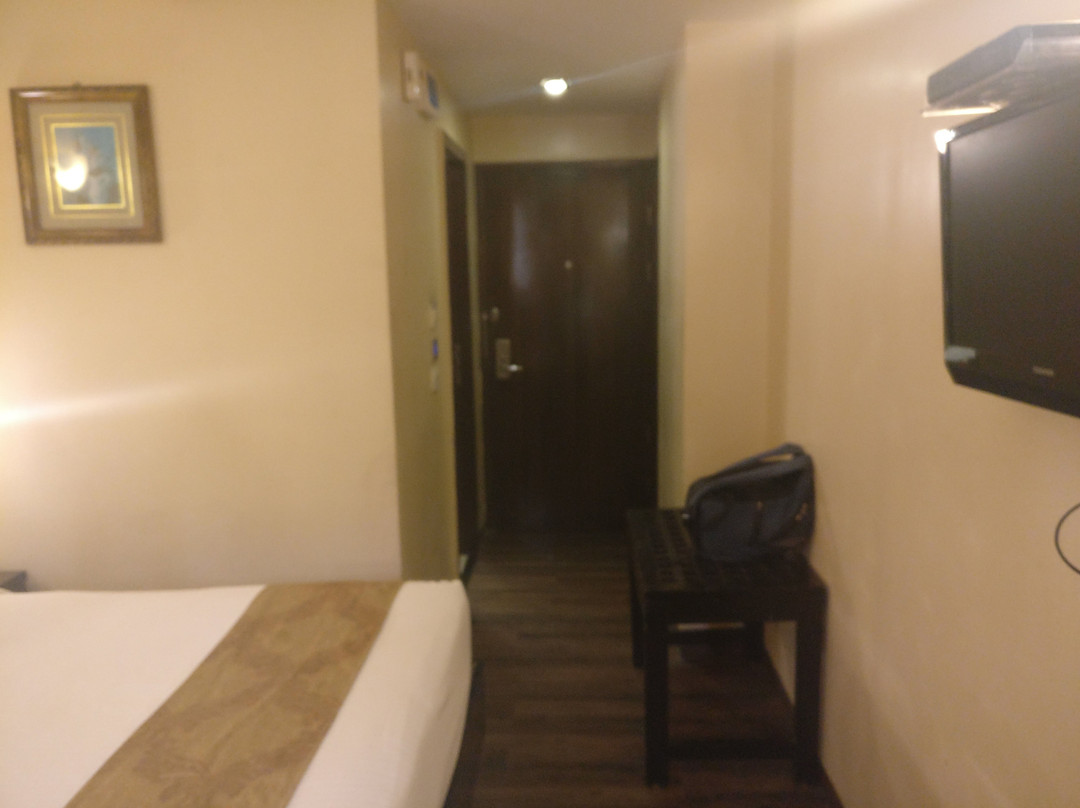 Mango Hotels Nagpur, Central Avenue Road主图
