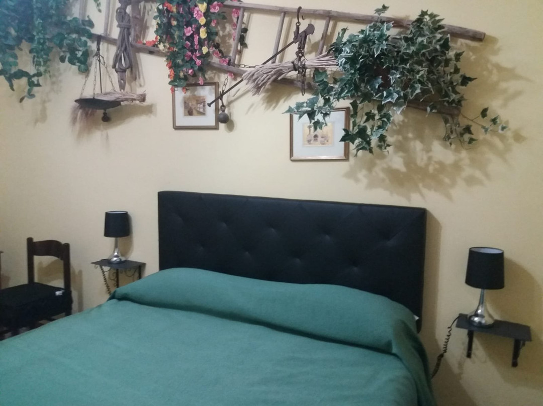 B&B  Spada Reale主图