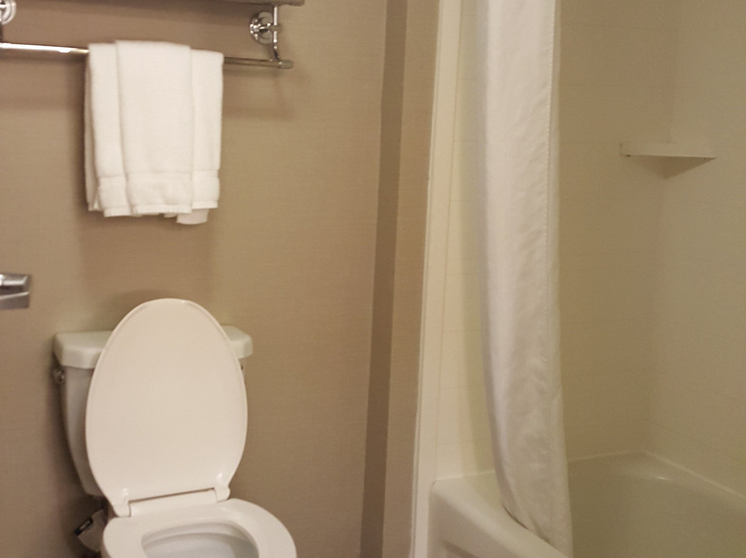 Homewood Suites by Hilton Southwind - Hacks Cross主图