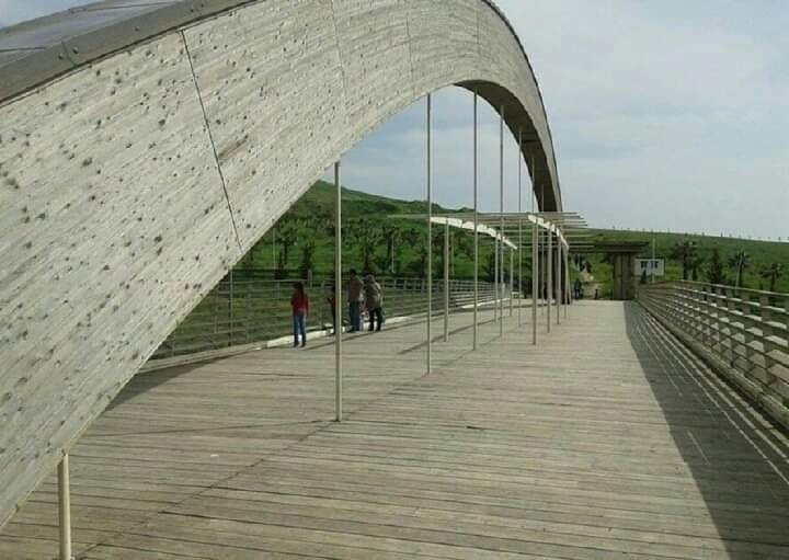 Dounia Parc景点图片
