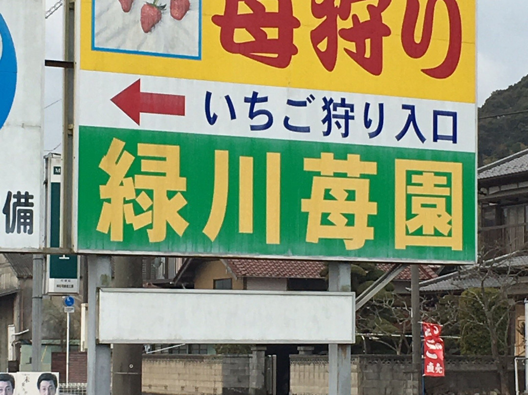 Midorikawa Strawberry Farm-山武市必去景点