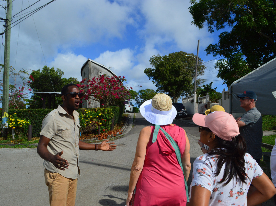 Scenic Tours Antigua景点图片