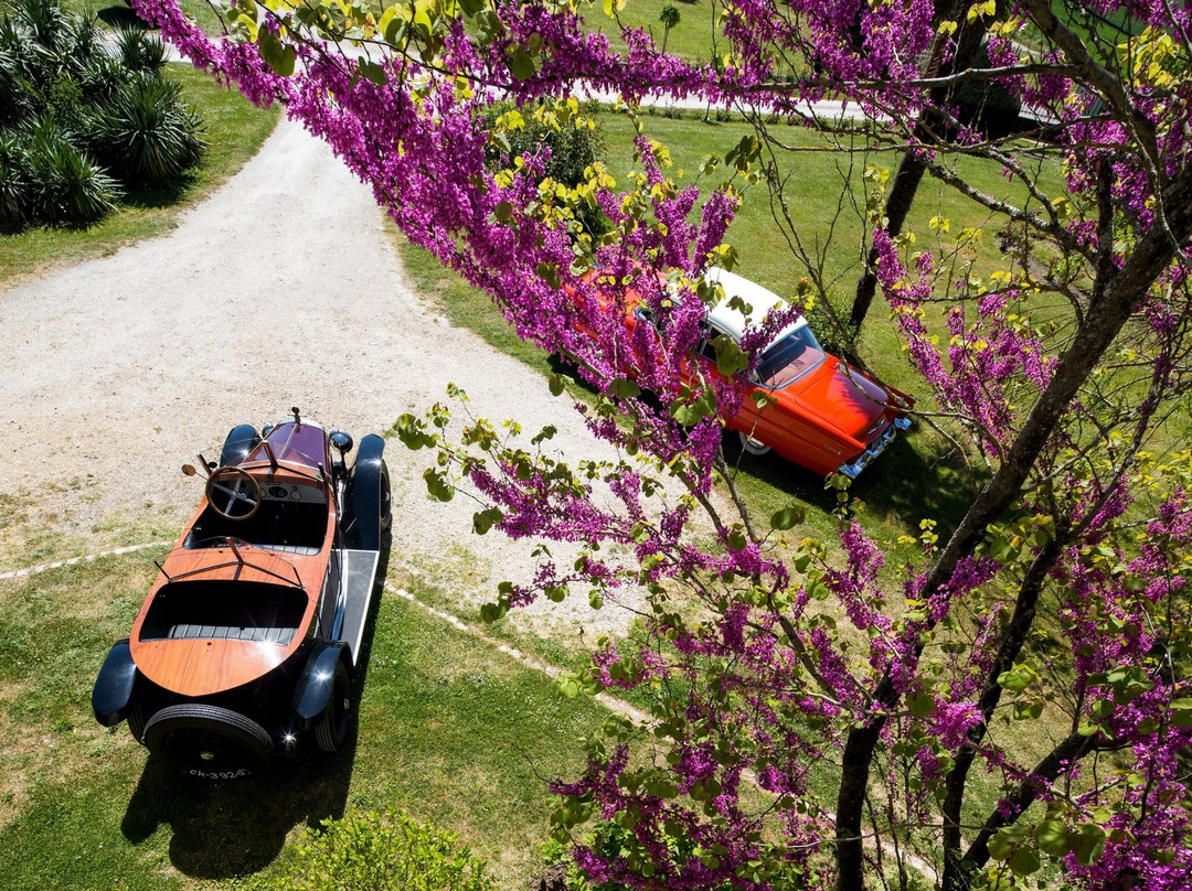 皮里戈城堡酒店主图