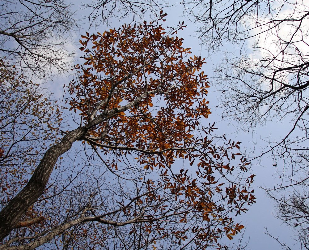Sobaeksan National Park Samga-荣州市必去景点