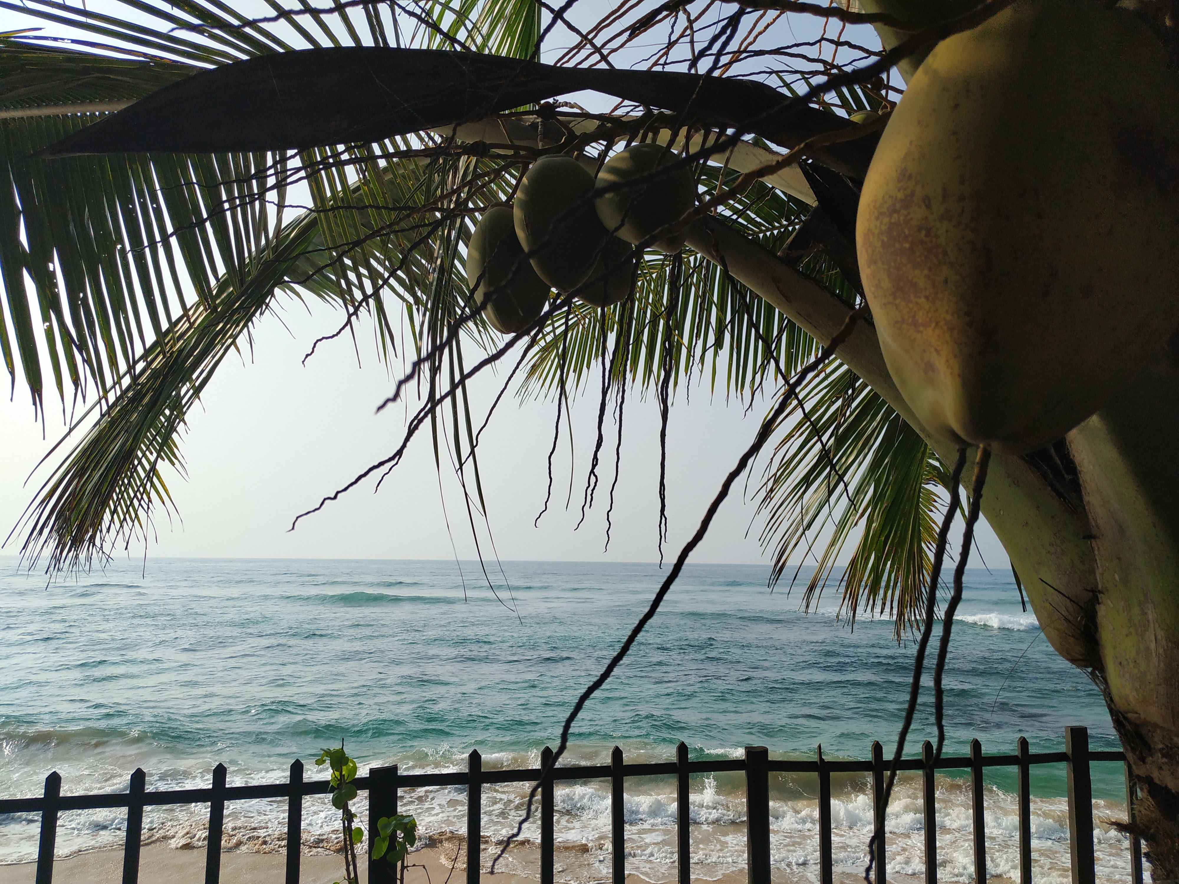 Rainbow Surf Beach-浴室