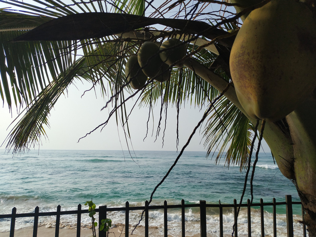 Rainbow Surf Beach主图