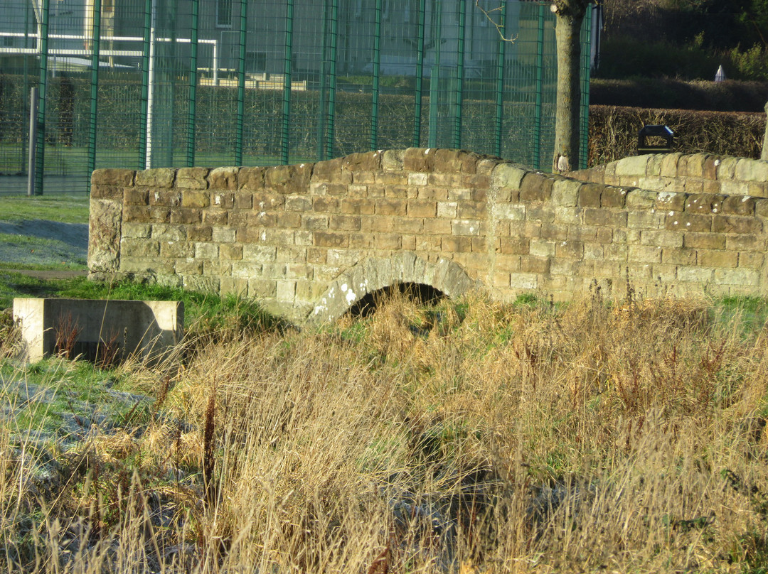 Rosyth Public Park景点图片