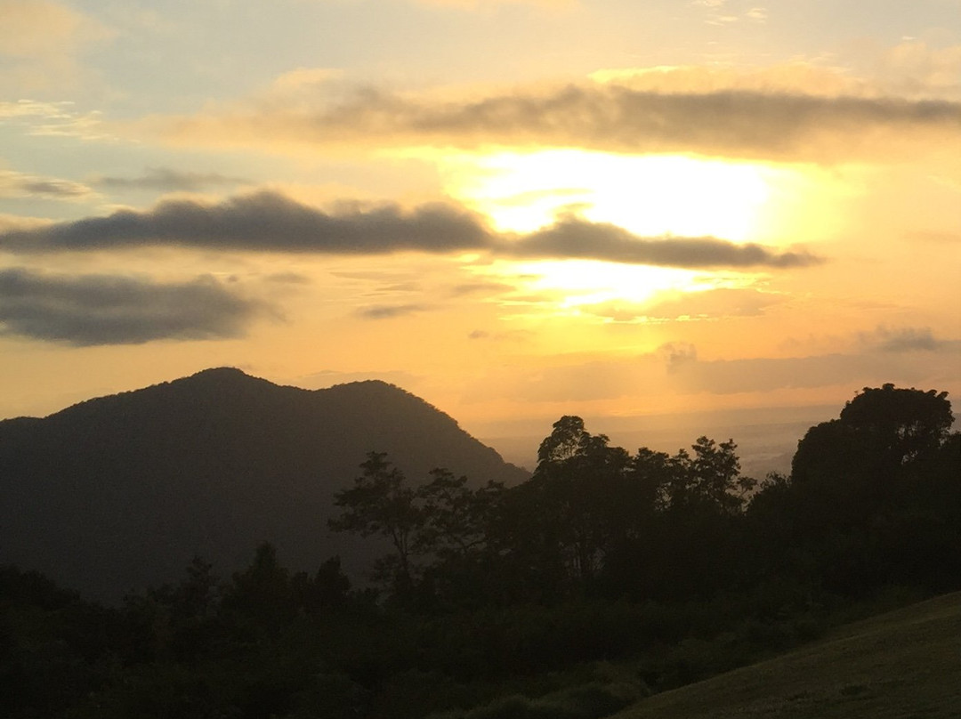 Dorrigo Mountain Top Bed and Breakfast主图