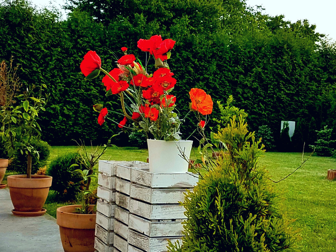 Hotel B.A.S Villa Residence主图