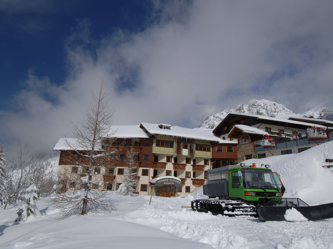 Alpenhotel Plattner主图