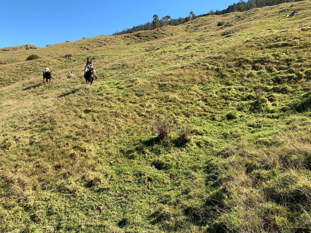 Thompson Ranch Riding Stables-库拉必去景点