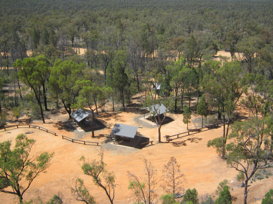 Pilliga National Park-Coonabarabran必去景点