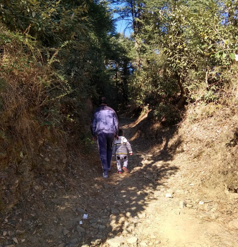 Chail Wildlife Sanctuary-Chail必去景点