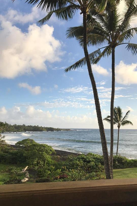 Bamboo Inn on Hana Bay主图