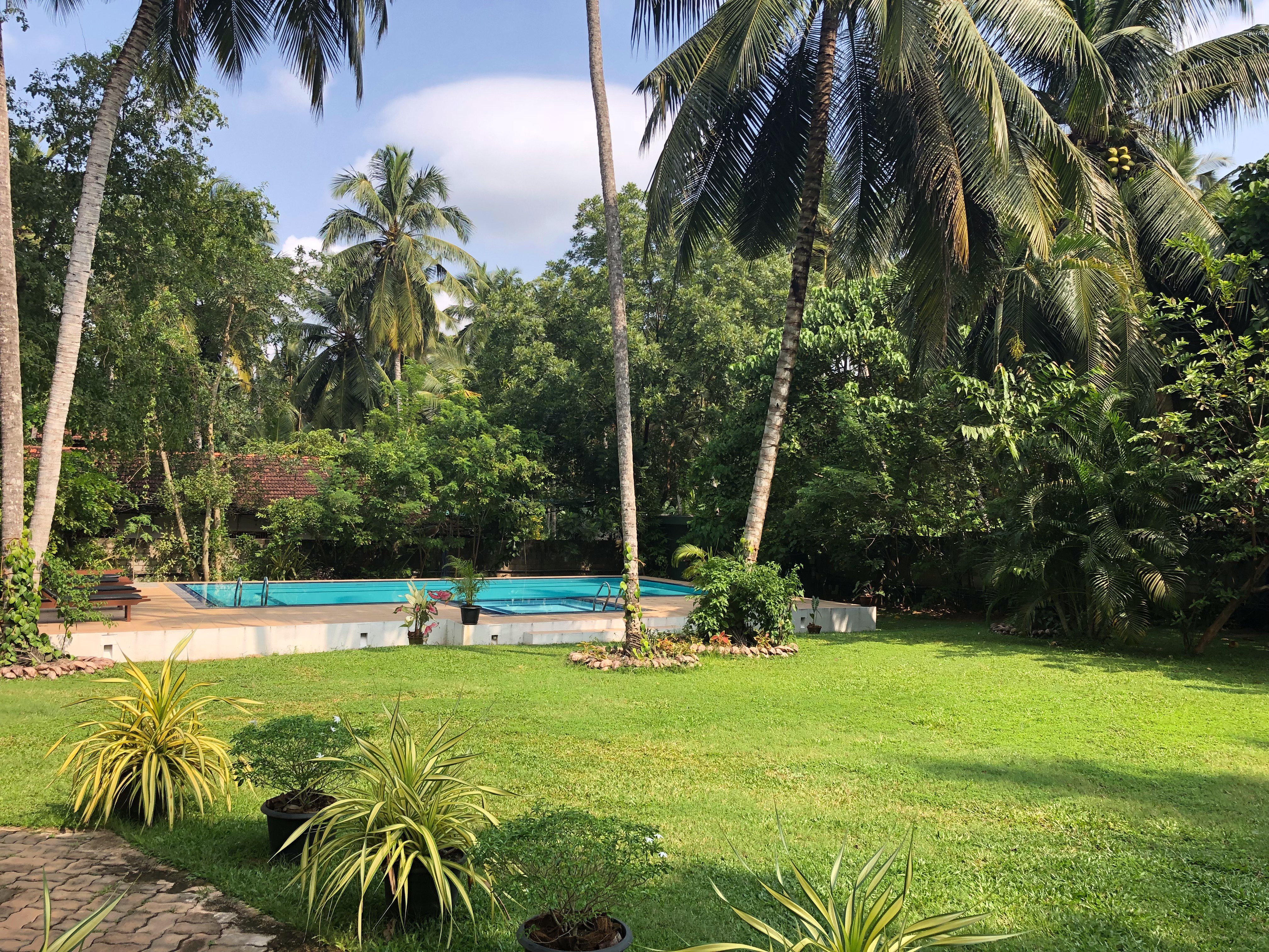 The Villa Green Inn-泳池