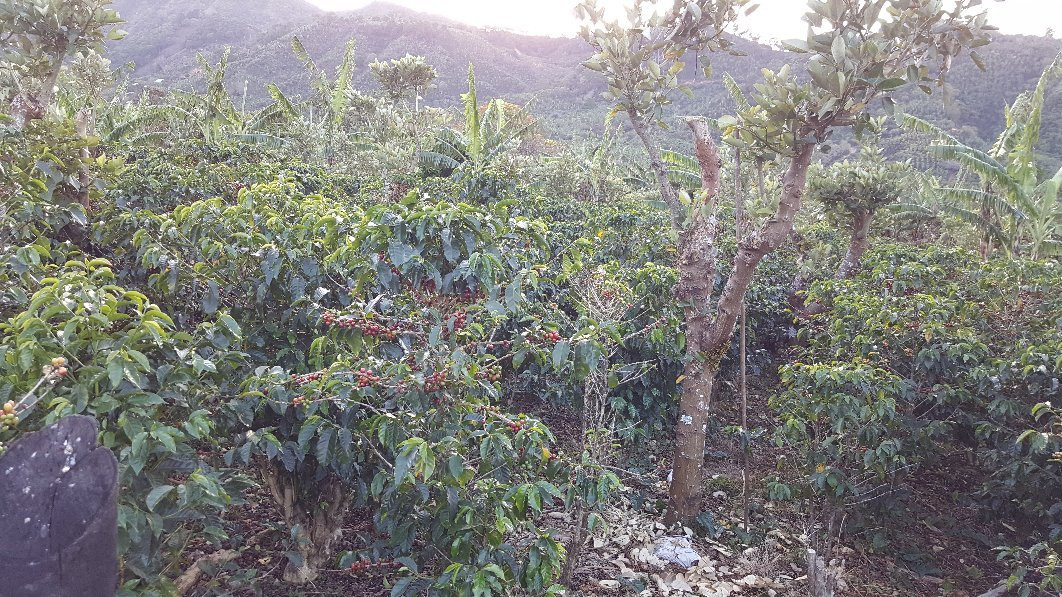 Cabinas Cecilia主图