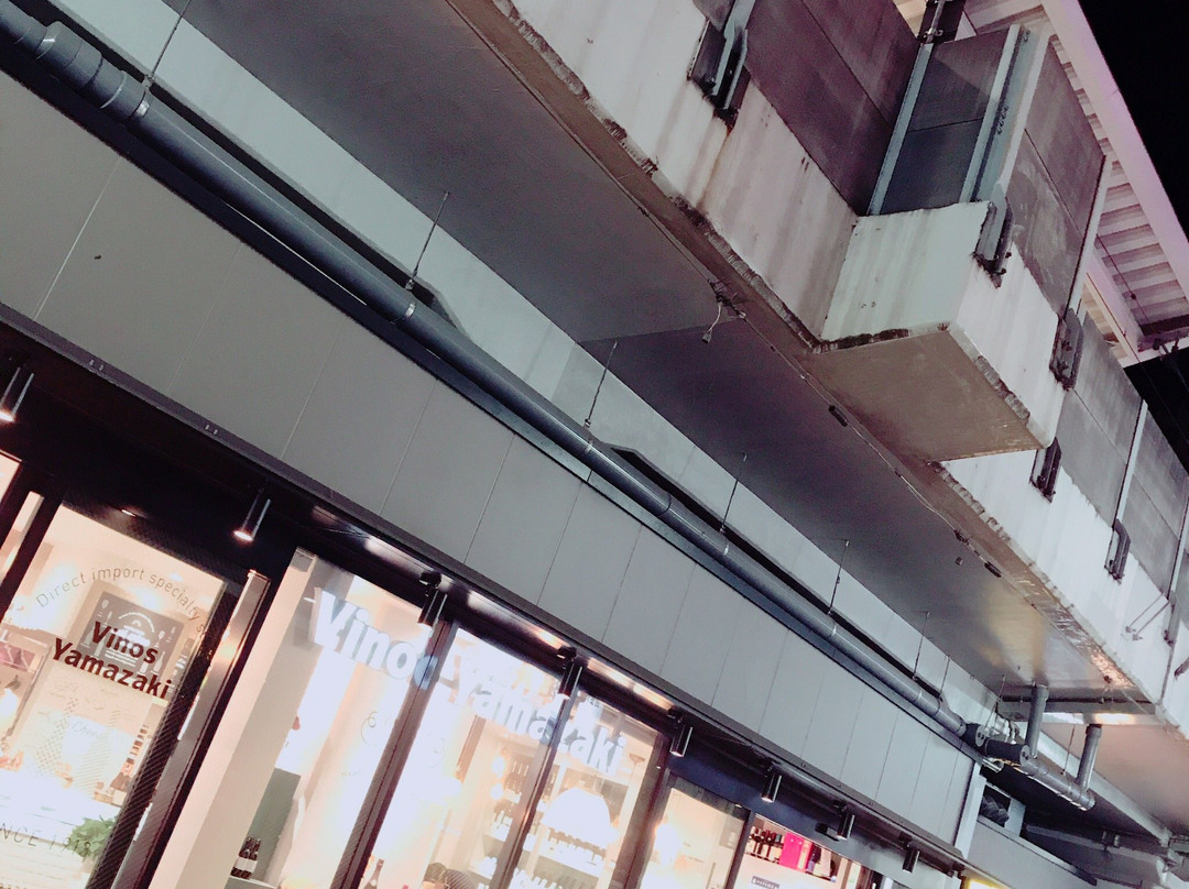 Nakameguro Koukashita-目黒区必去景点