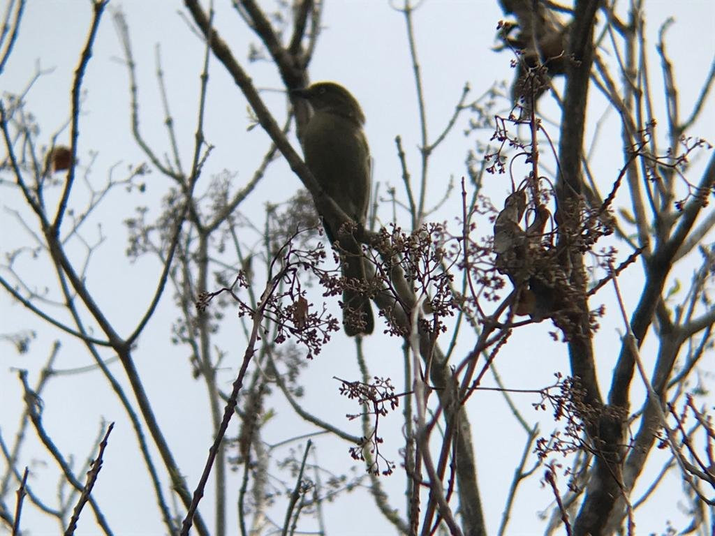 Explore Eden (Birding)-乔治必去景点
