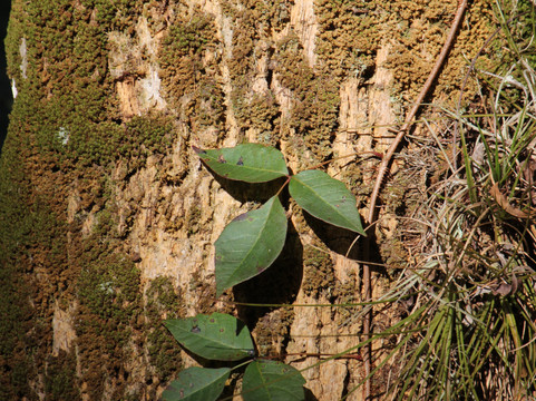 Ten Mile Creek Preserve-匹尔斯堡必去景点