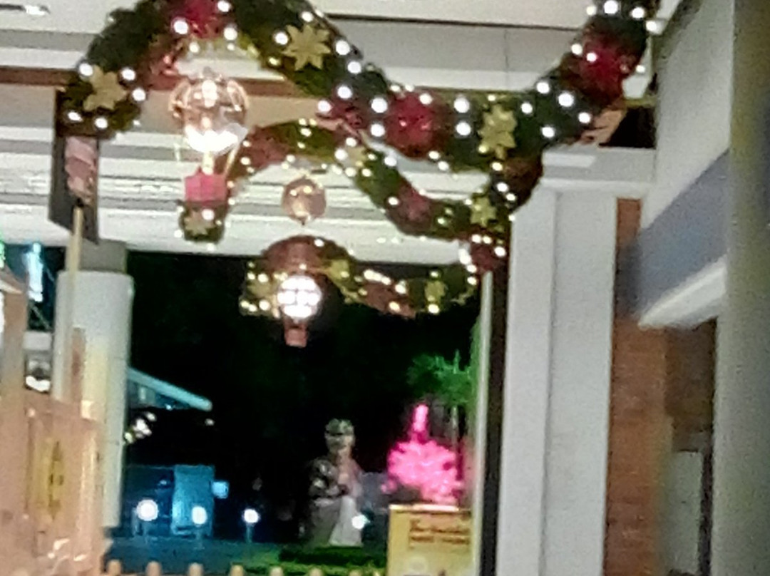 Centro Comercial Santa Lucia Plaza-内瓦必去景点